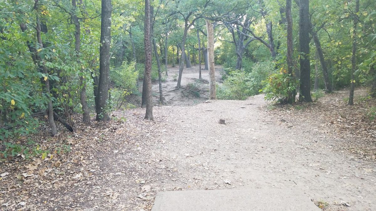 Z Boaz Park Benbrook, TX UDisc Disc Golf Course Directory UDisc