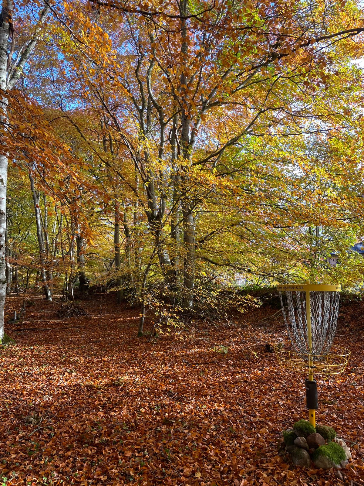 Hole 7 basket