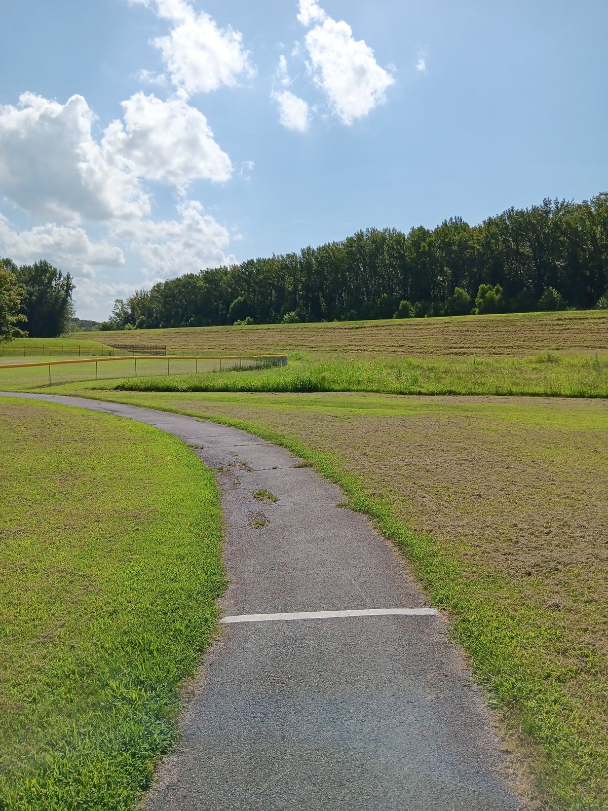 Hole 7 Tee