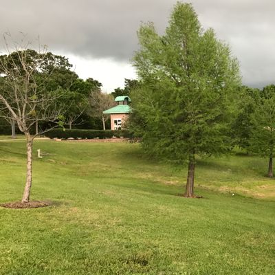 Hole 9