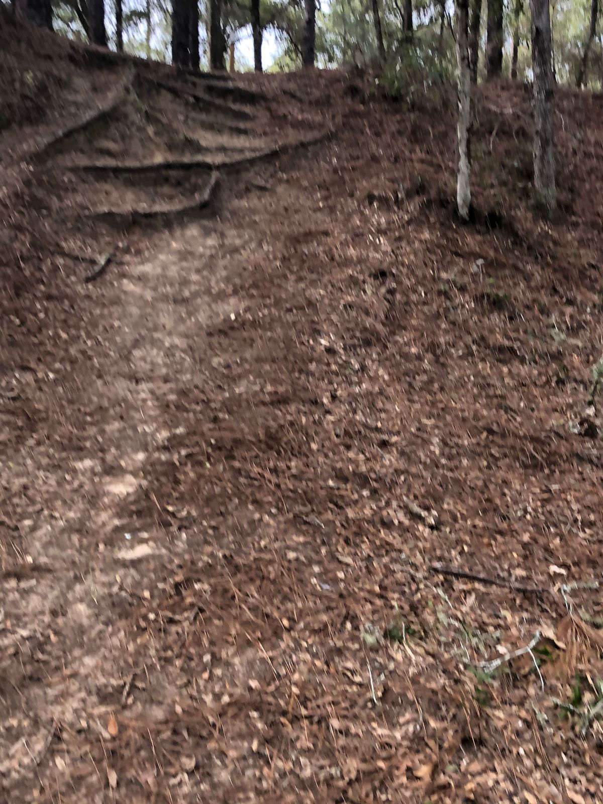 Steep and slippery climbs after hole 10