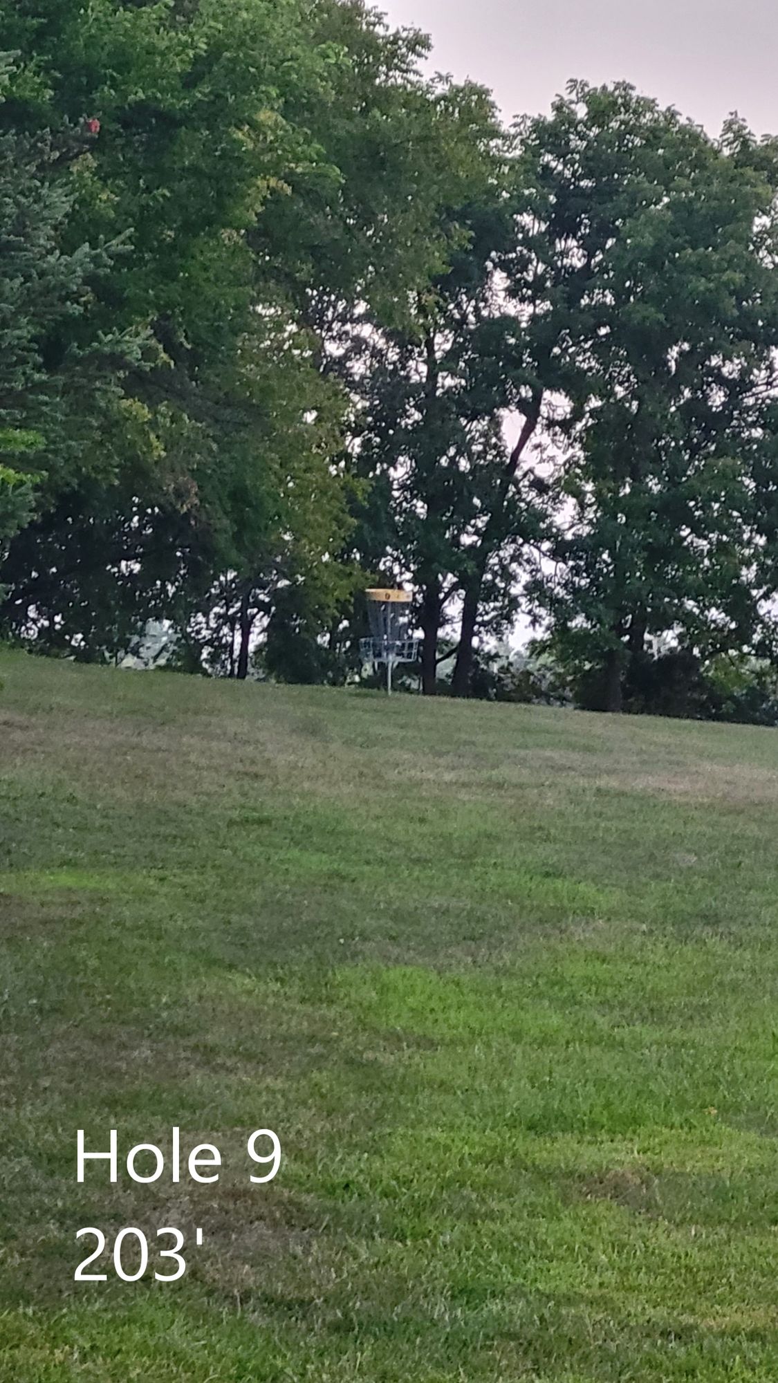 Hole 9