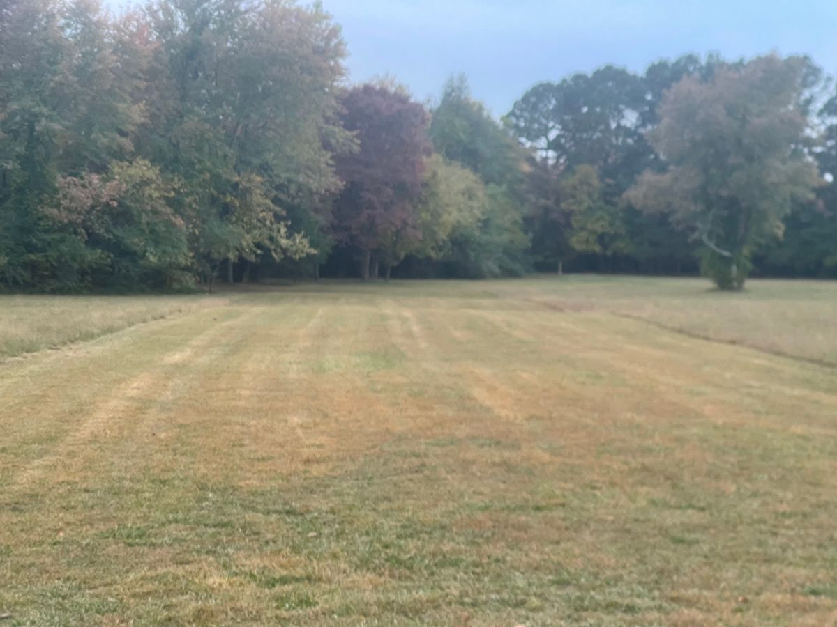 Hole 11