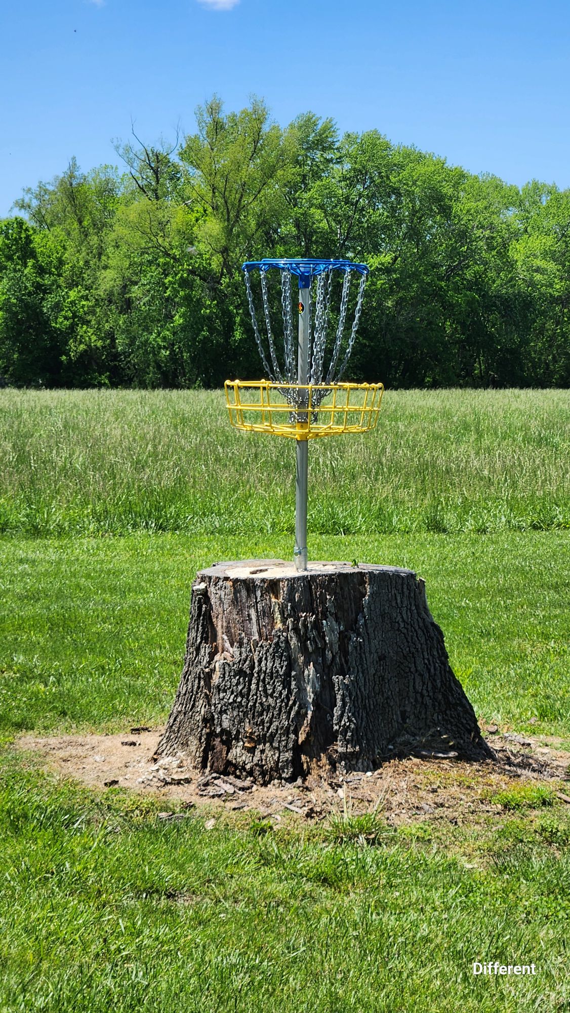 Hole 5, The Stump.