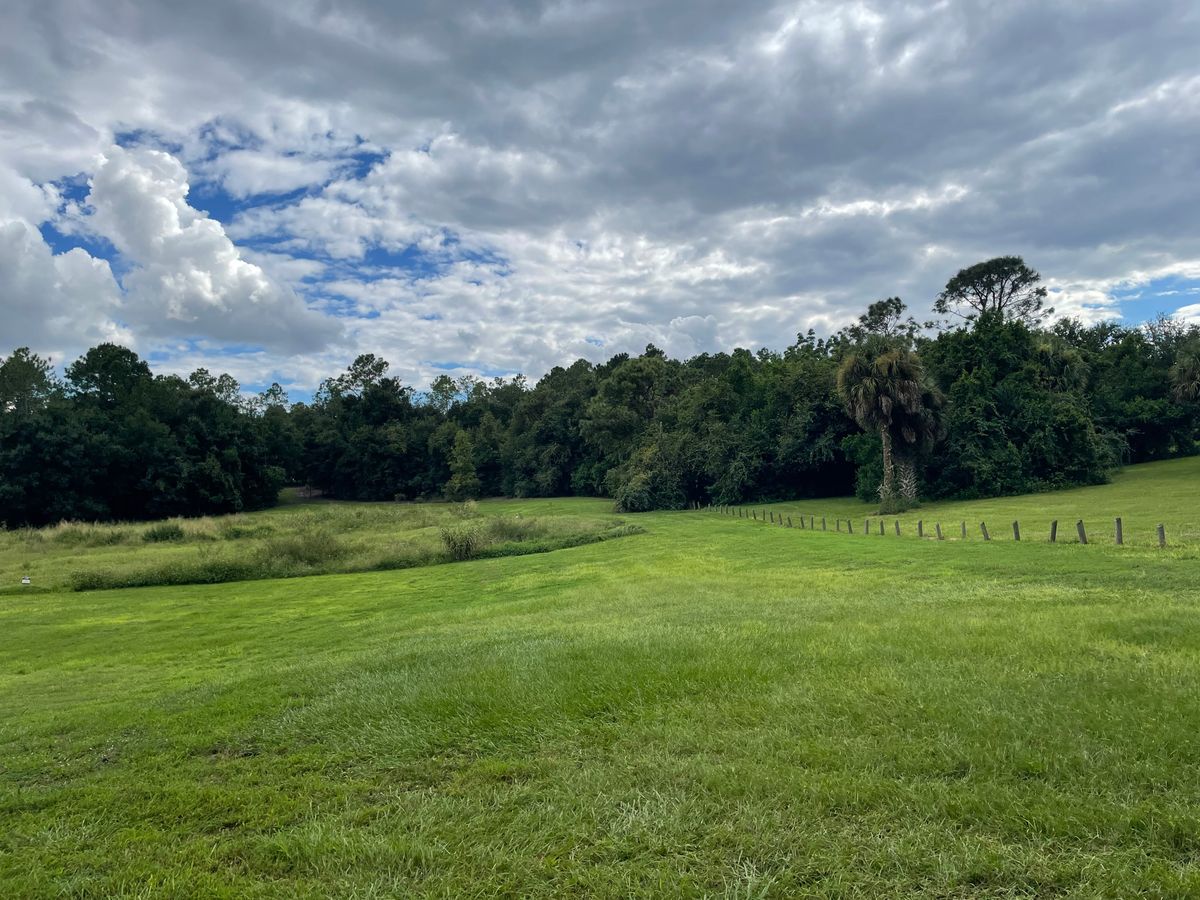 Looking out at hole 2