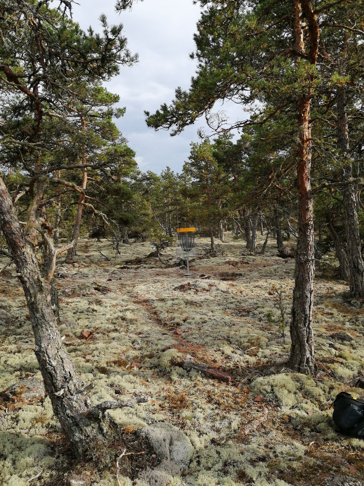 Väylän 17 kori