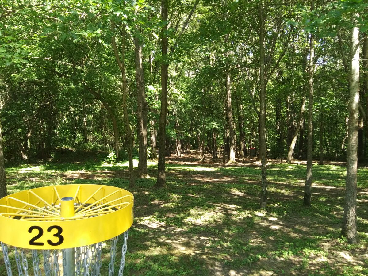 #23's yellow target, looking down the hill to the Ted target.