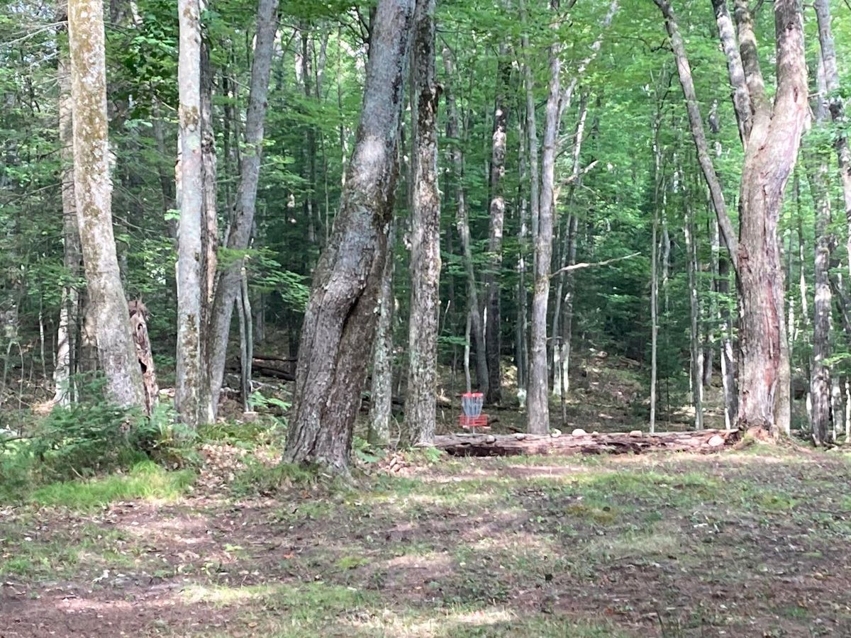 Approach Hole #6