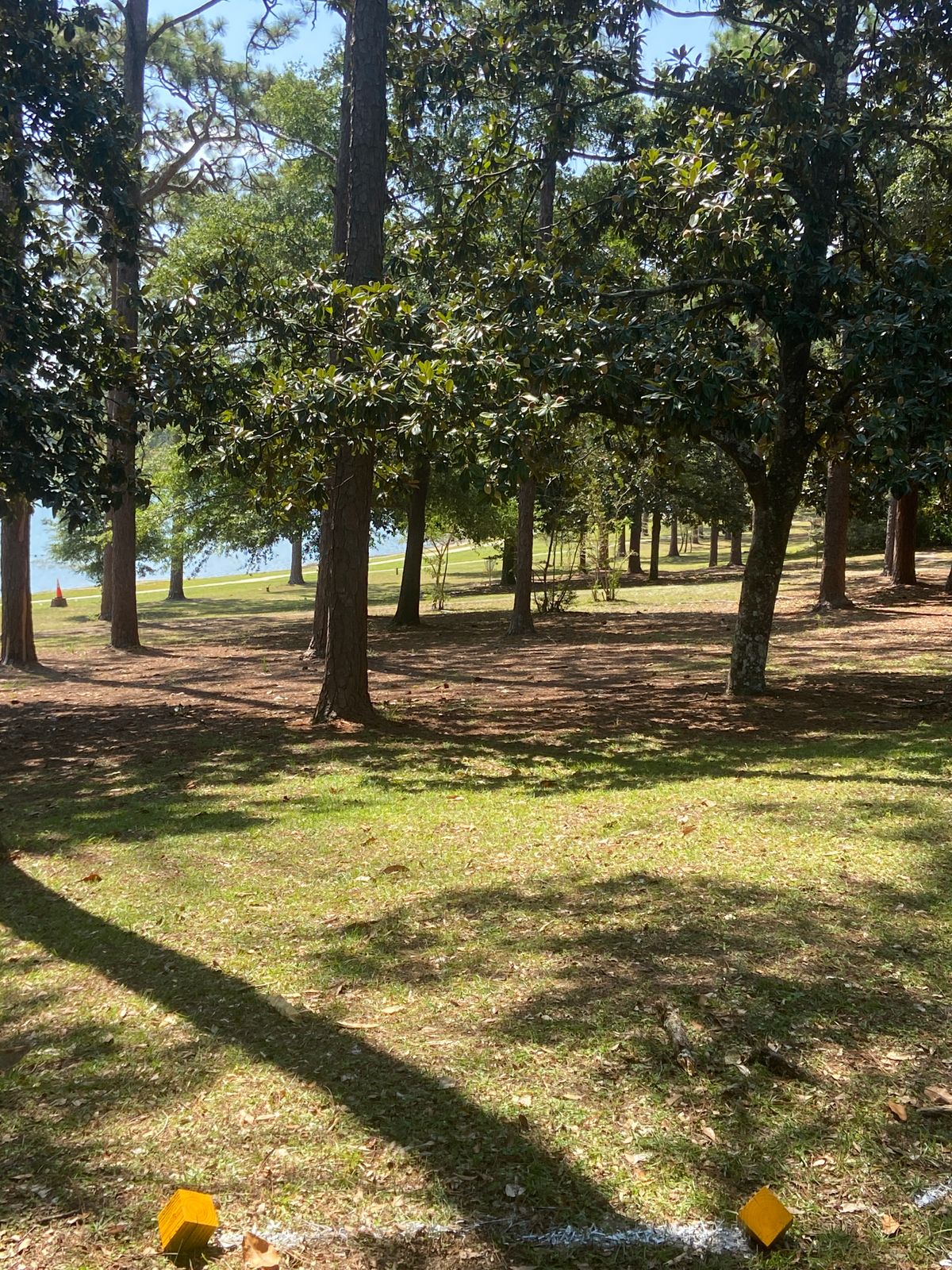 Hole 2