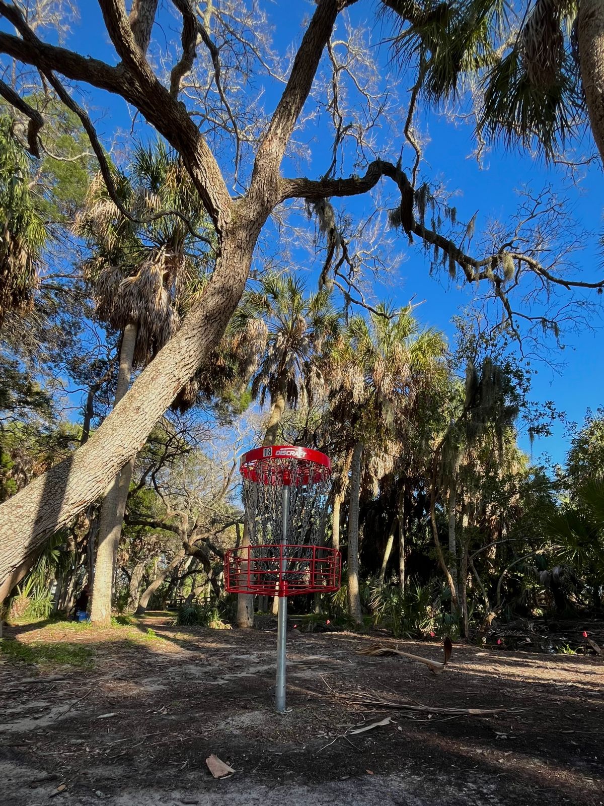 Past the basket on 18, facing back towards the tee box