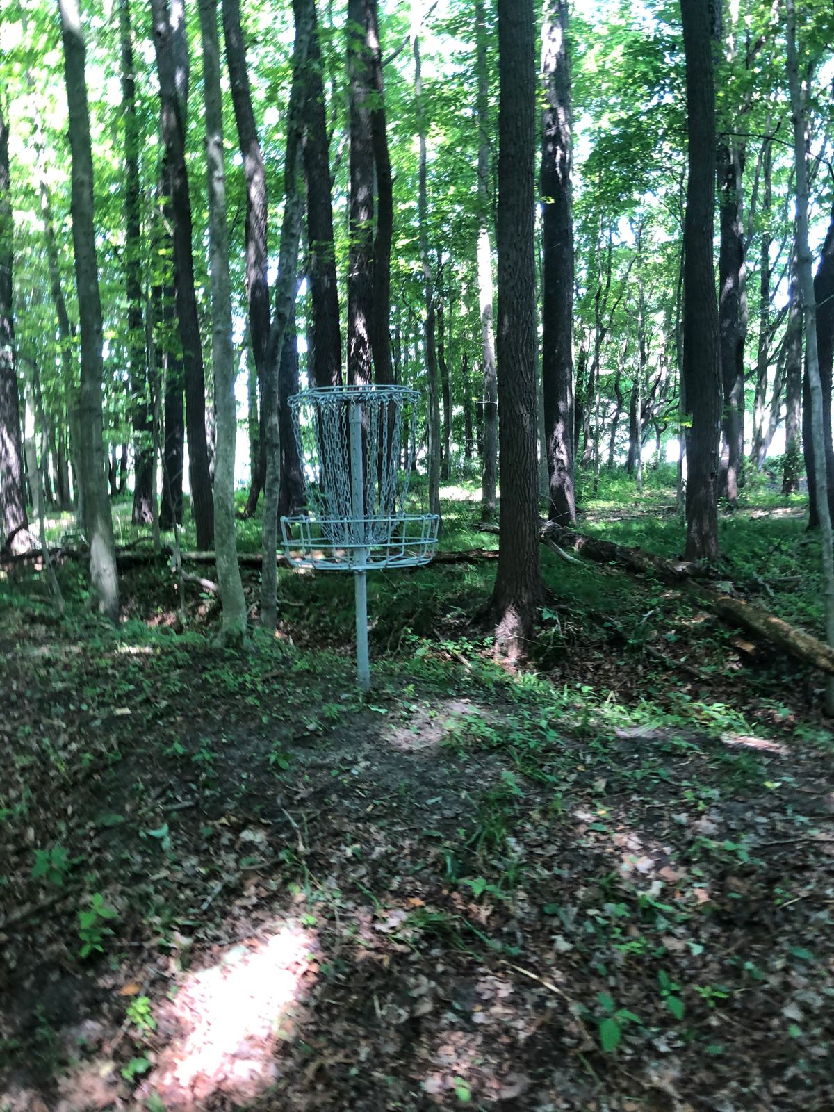 6’s target