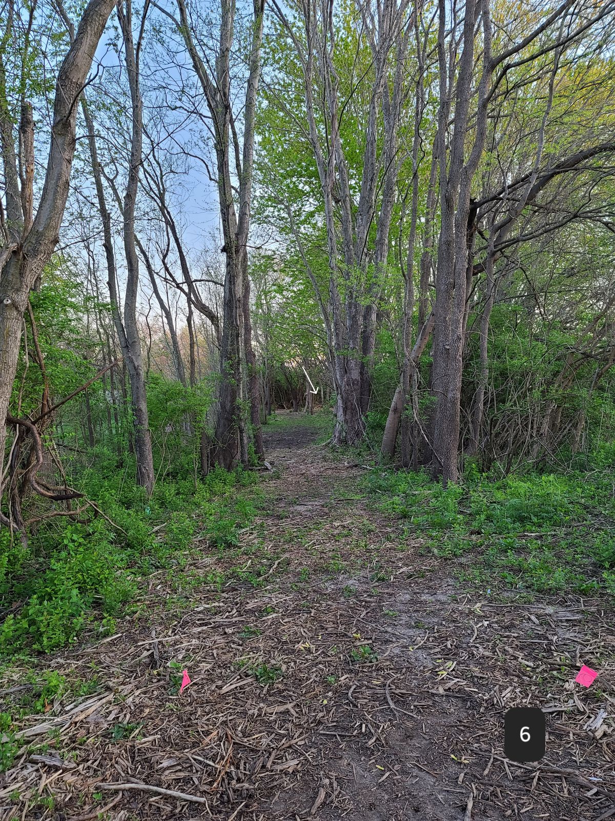 Hole 6