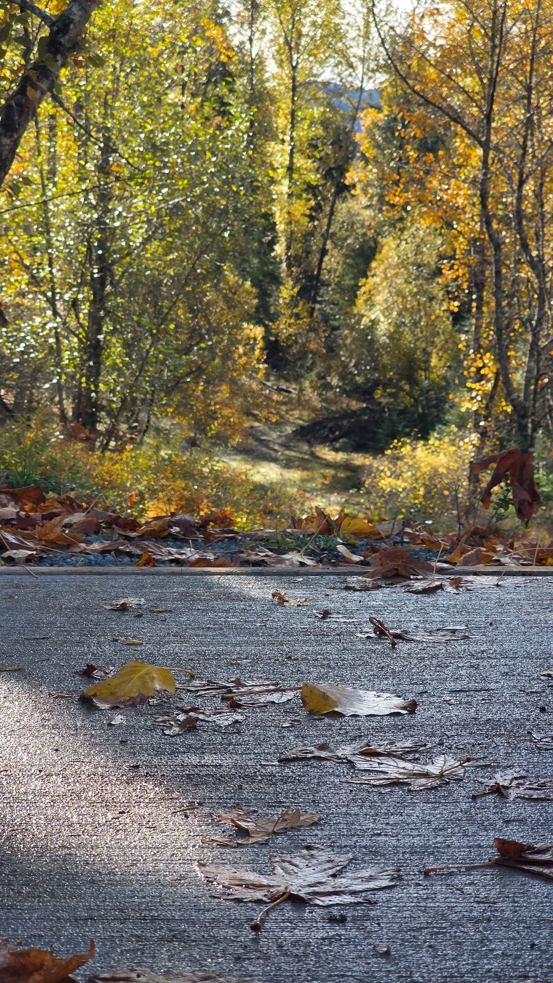 Almost ready to tee off! The view from the #1 blues teepad.