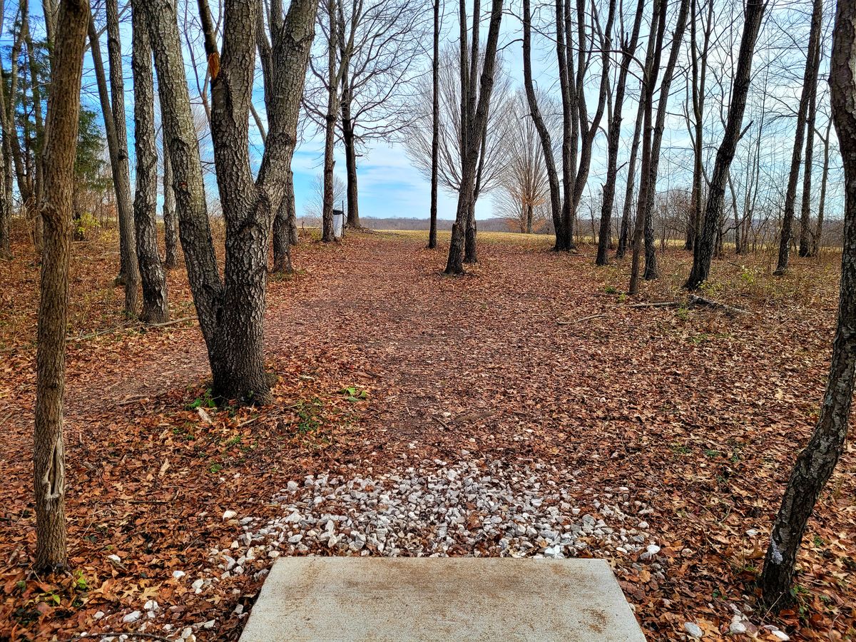 #12 Tee