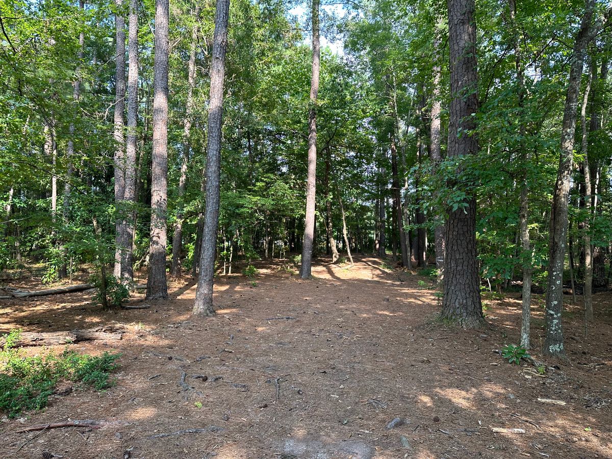 Hole 3 Fairway
