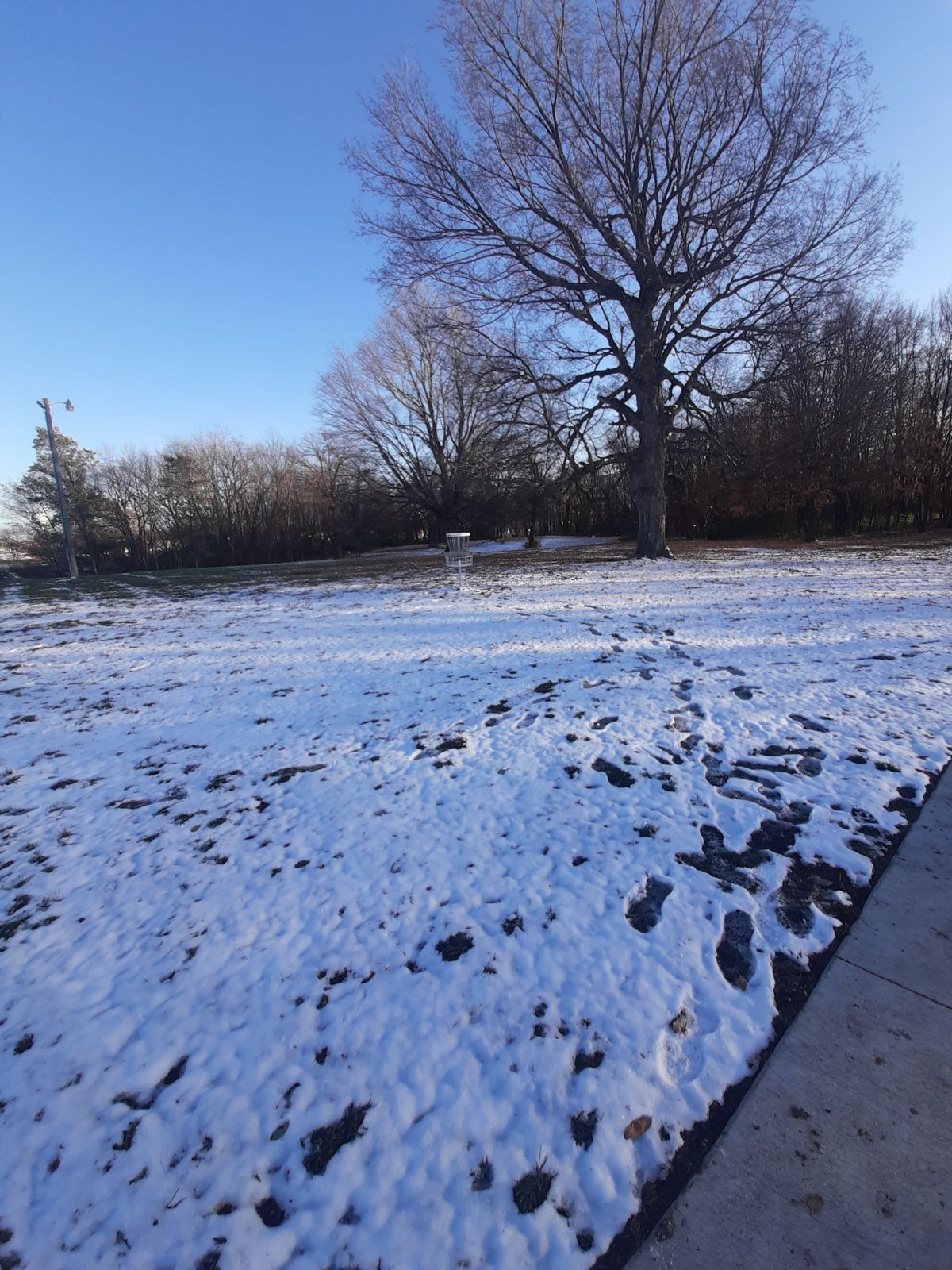Back of hole 8