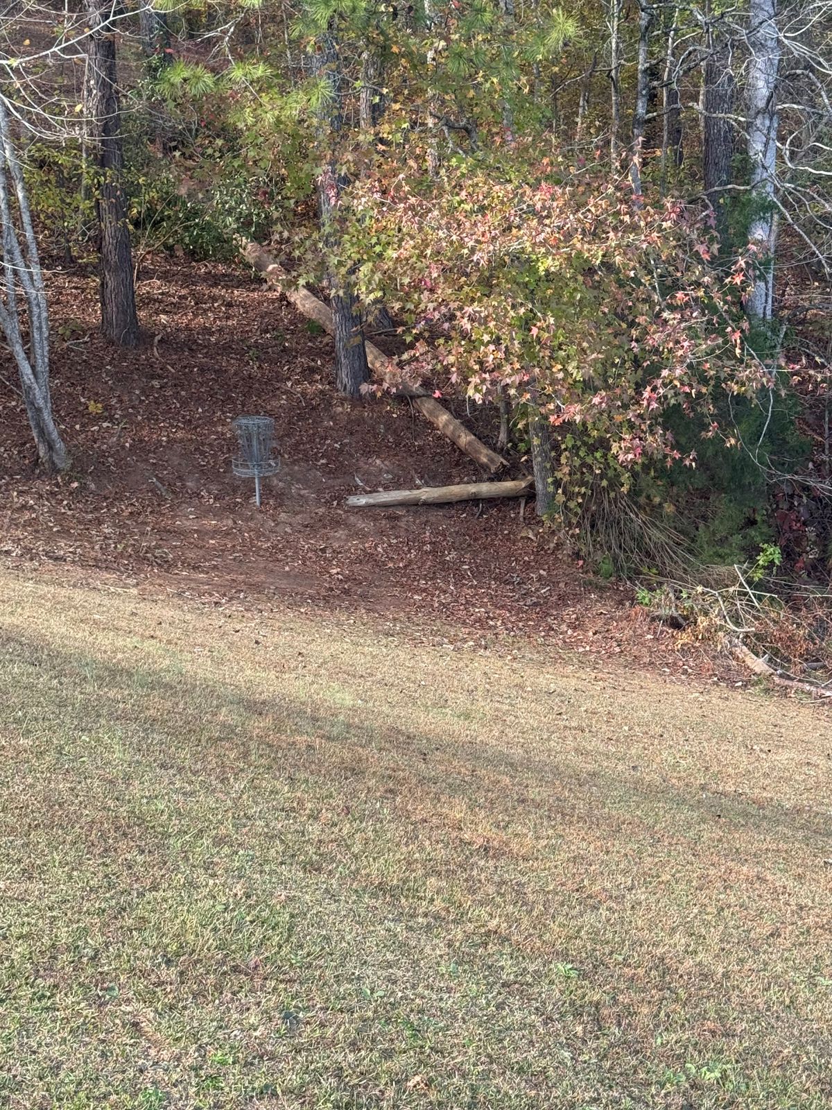 Hole 1 basket