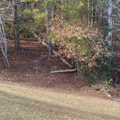 Hole 1 basket