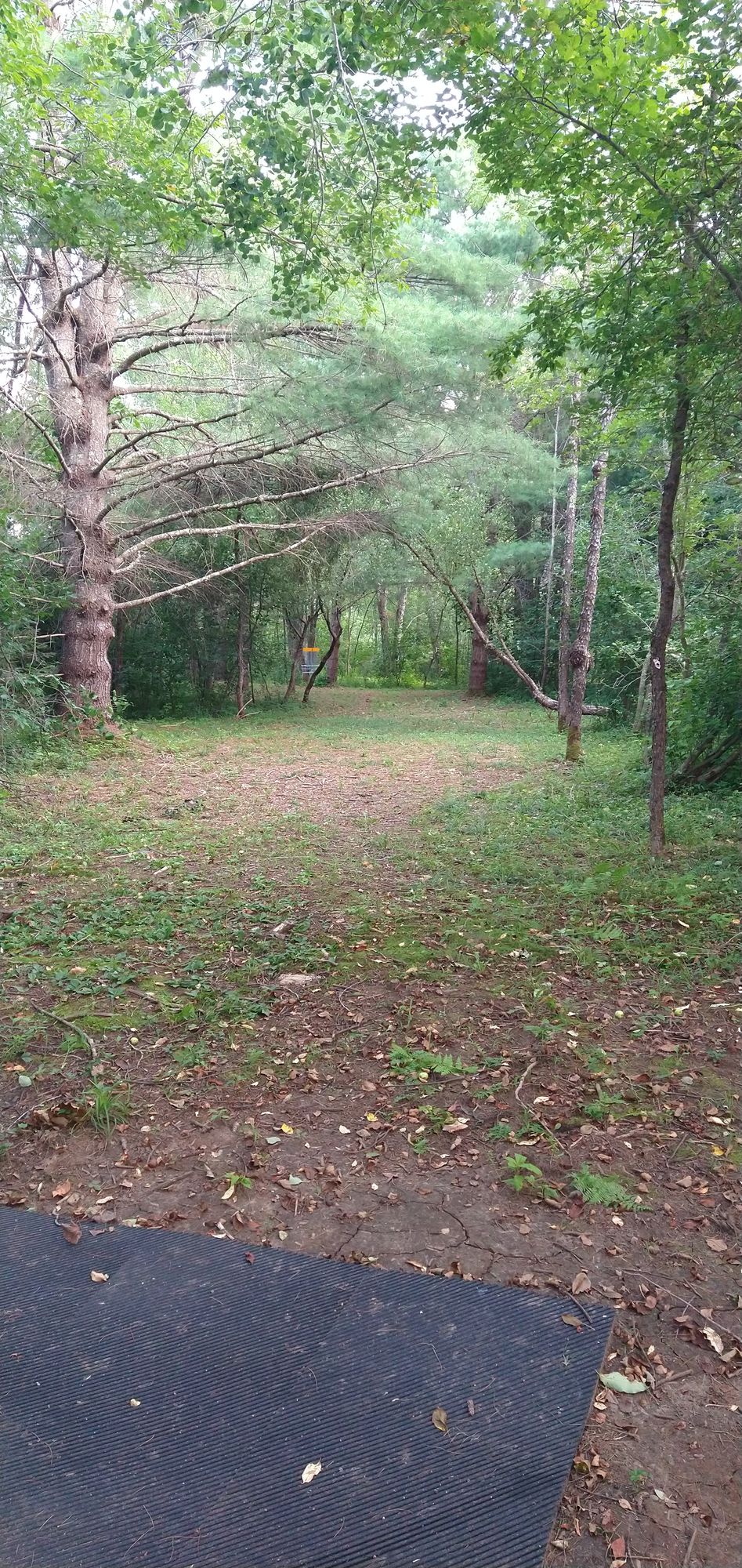 Hole 3