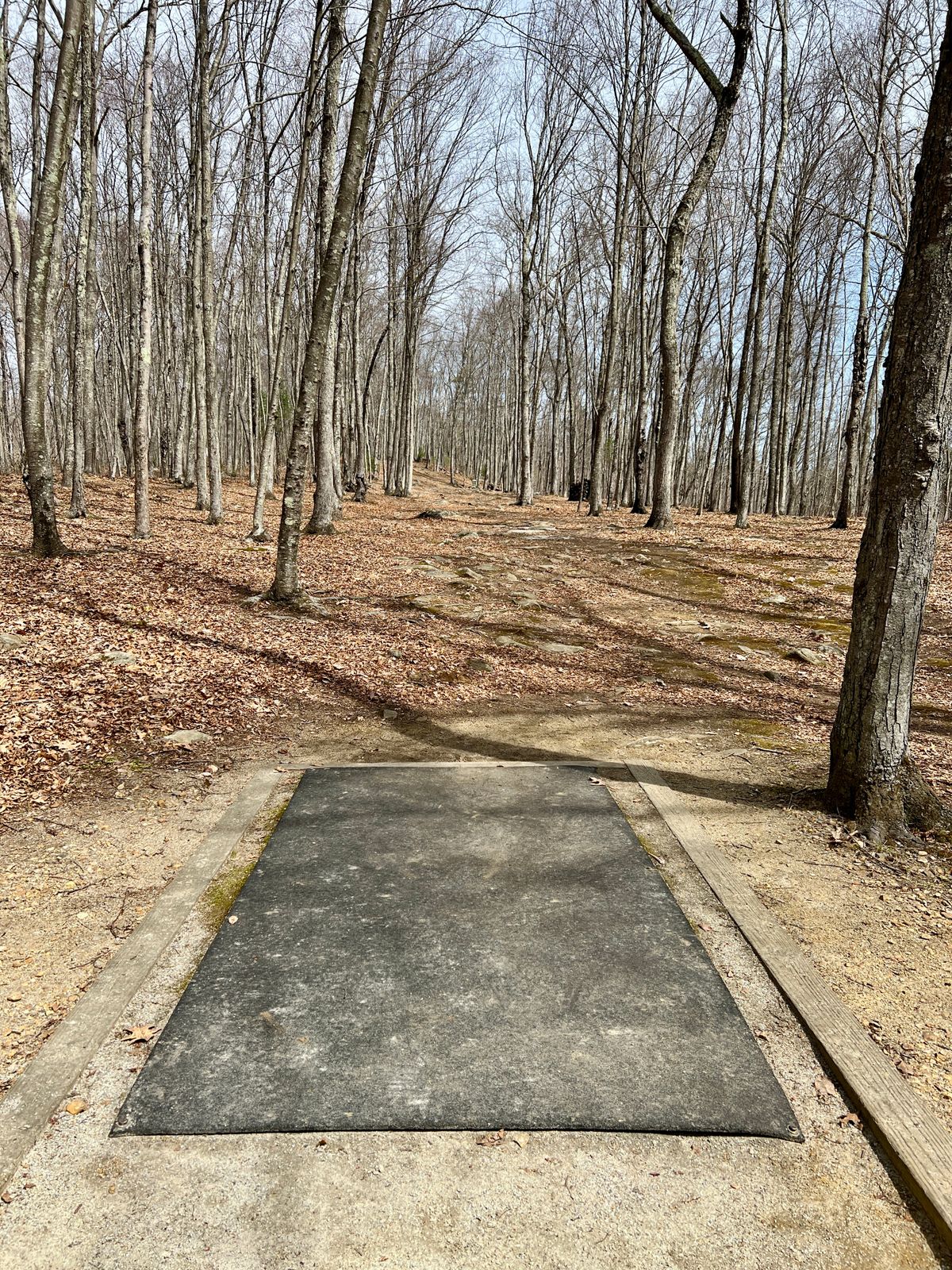 Hole #5 Tee Box