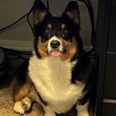 User avatar image
