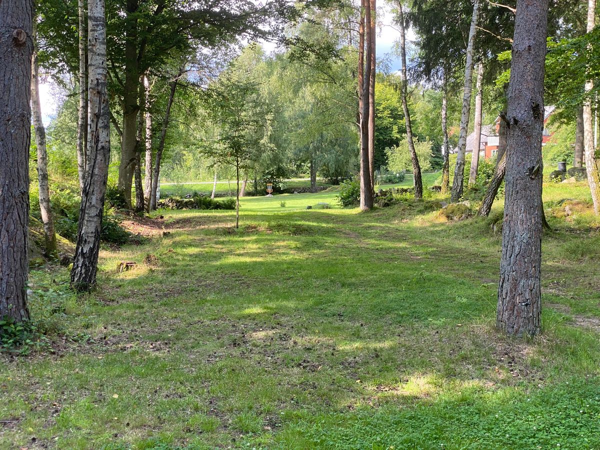 Pure Discgolf love!