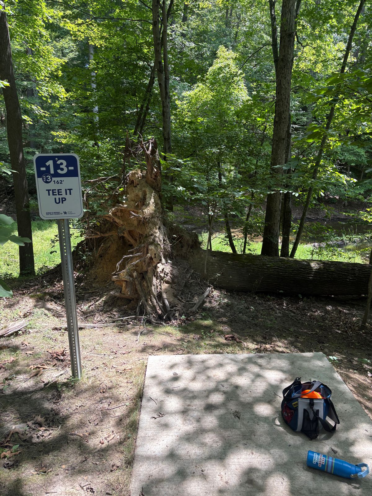 Hole 13 - signage facing the basket.