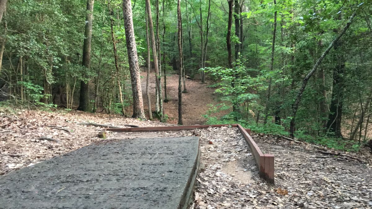 Hole 22