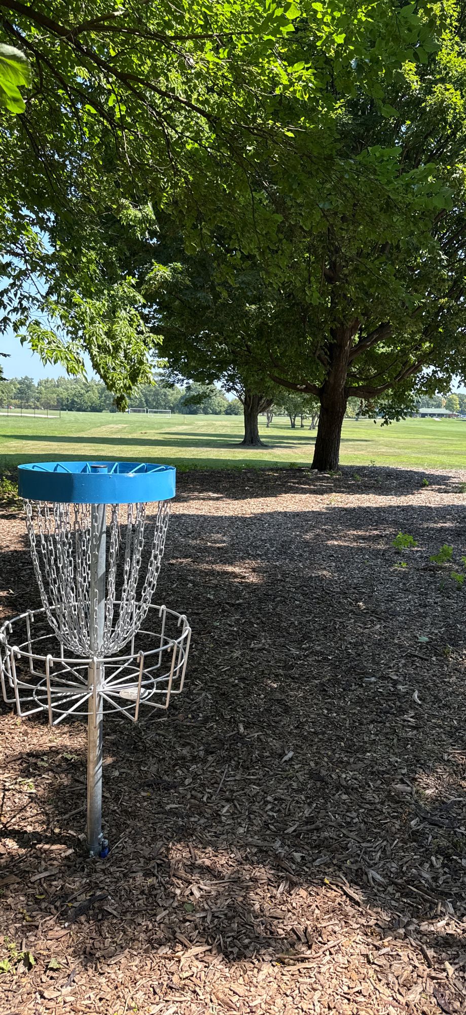 Hole 9, start of the woods.