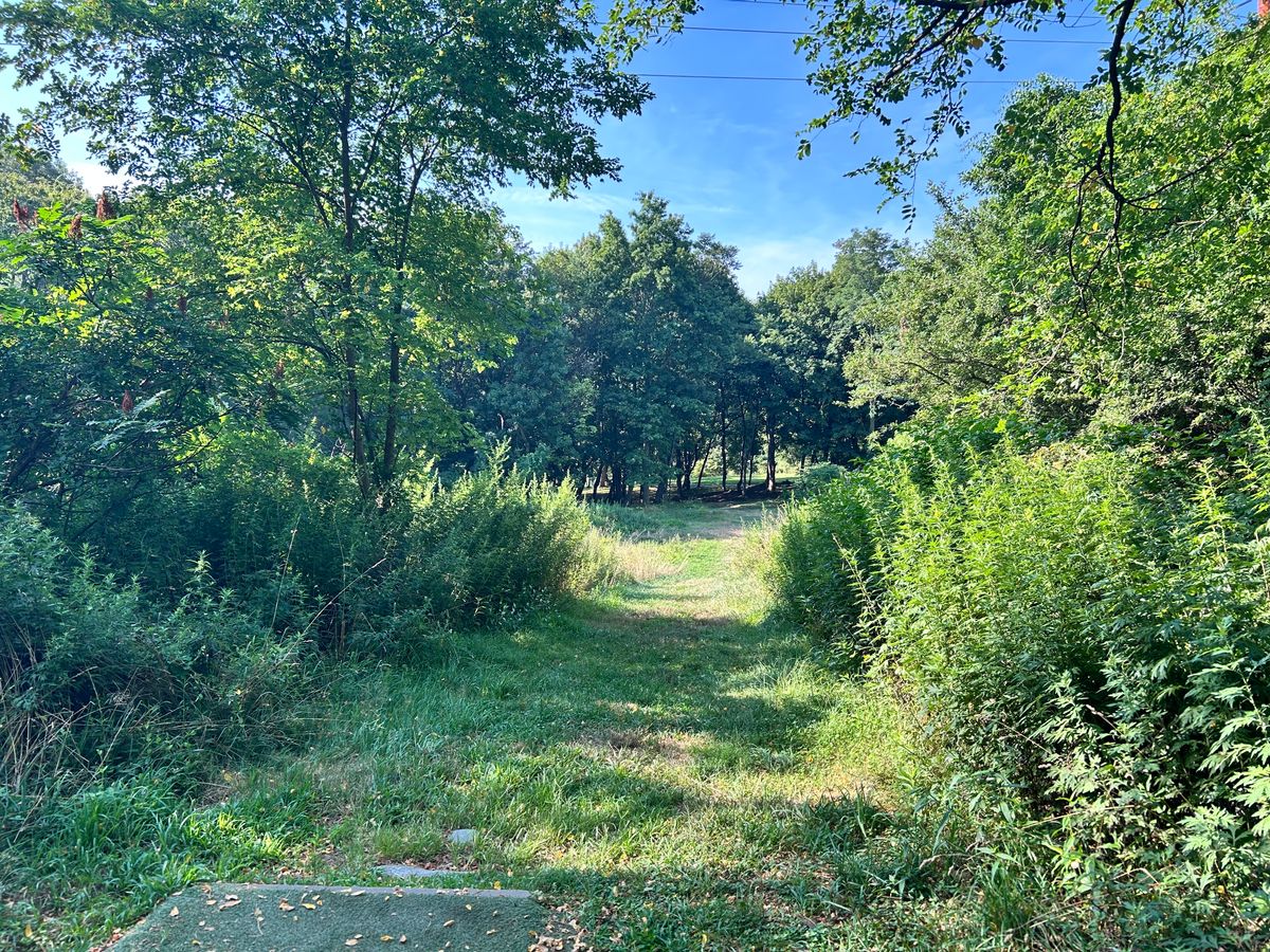 Hole 17