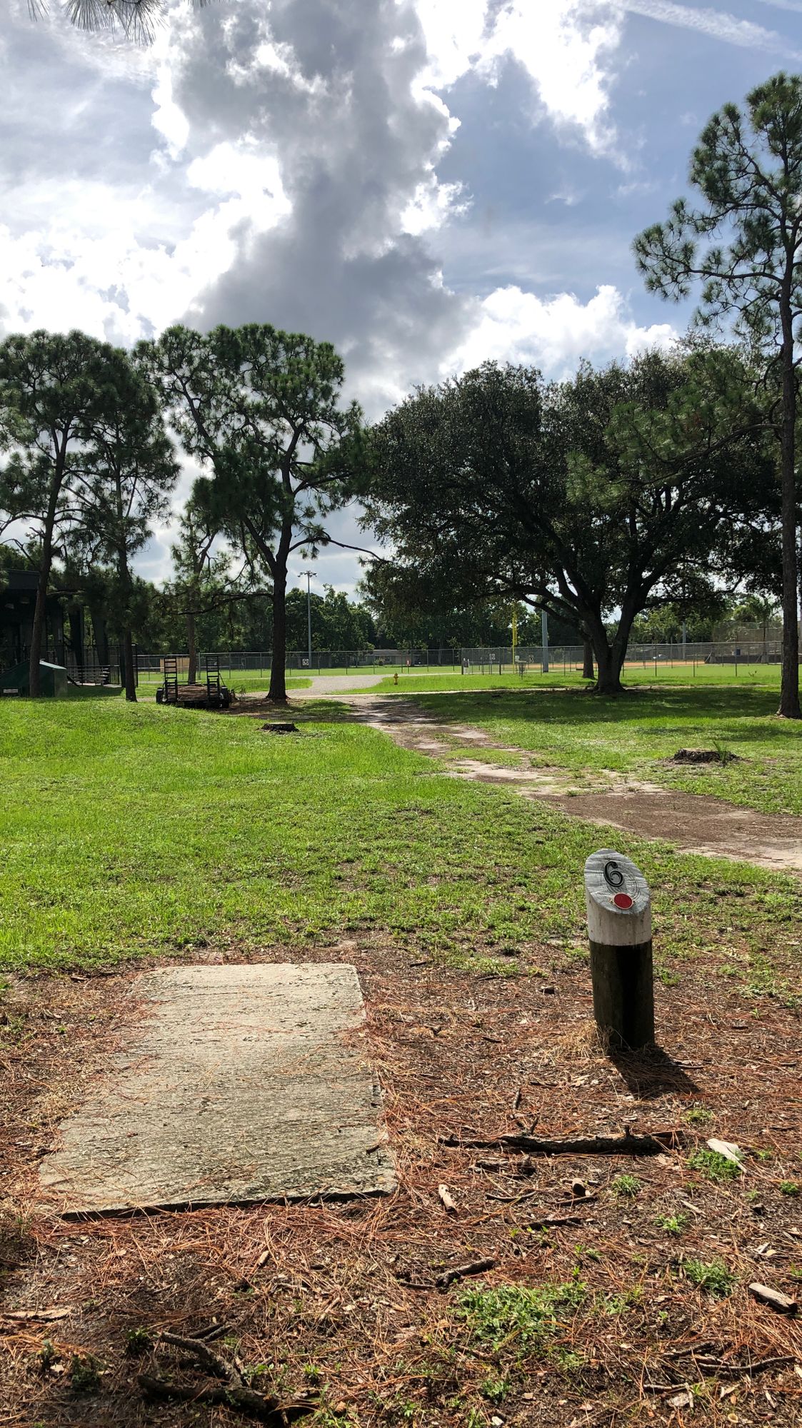 Hole 6 teepad, red tees