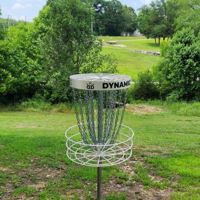 Looking from 4's basket back towards the tee.