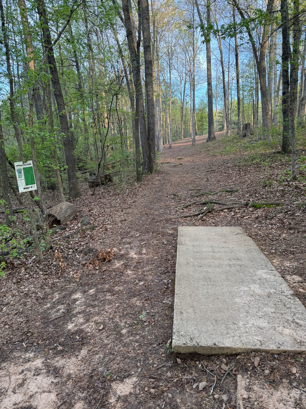 Hole 9