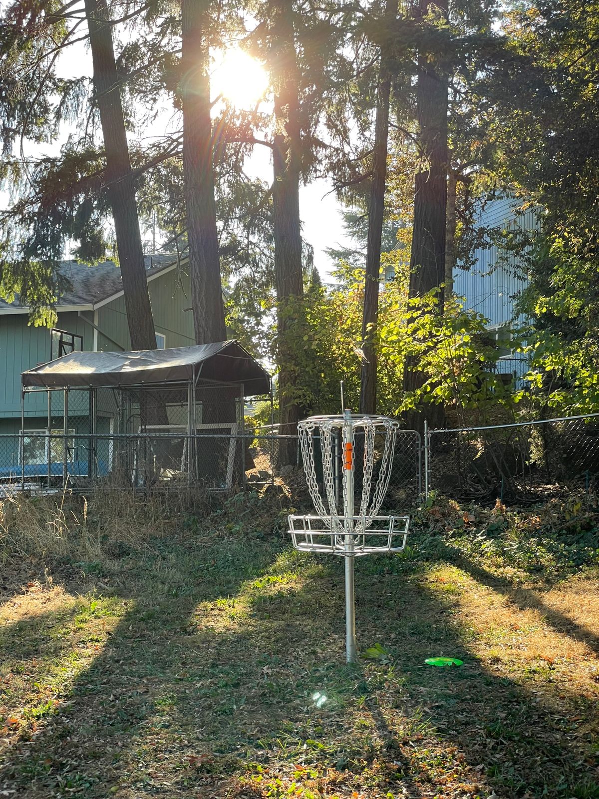 Basket for 5
