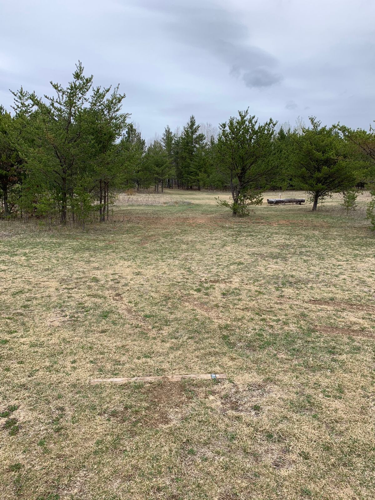 Hole 6 tee box (long)