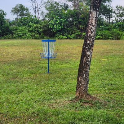 Hole 7 basket through the double mando