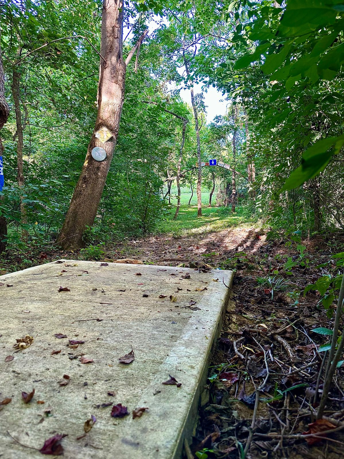 Hole 13 keep it under the hoop and to the left