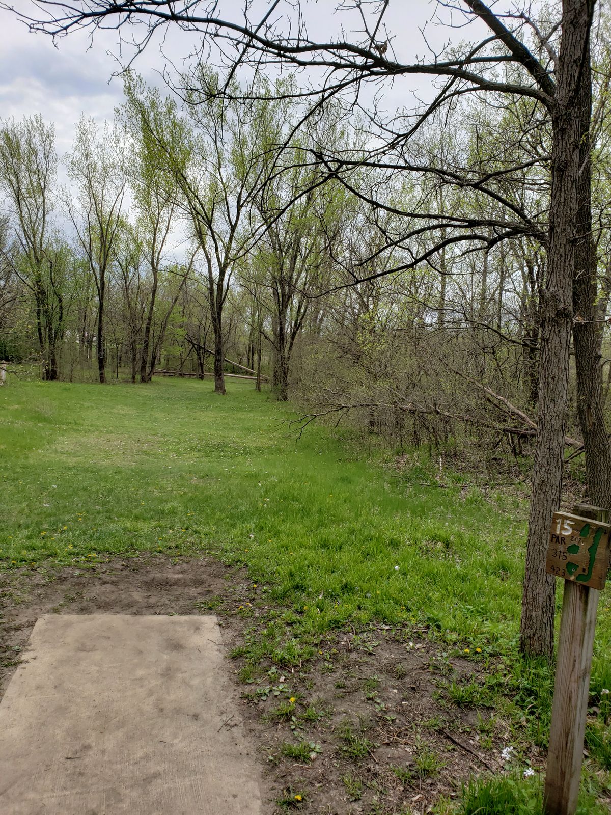 Hole 15