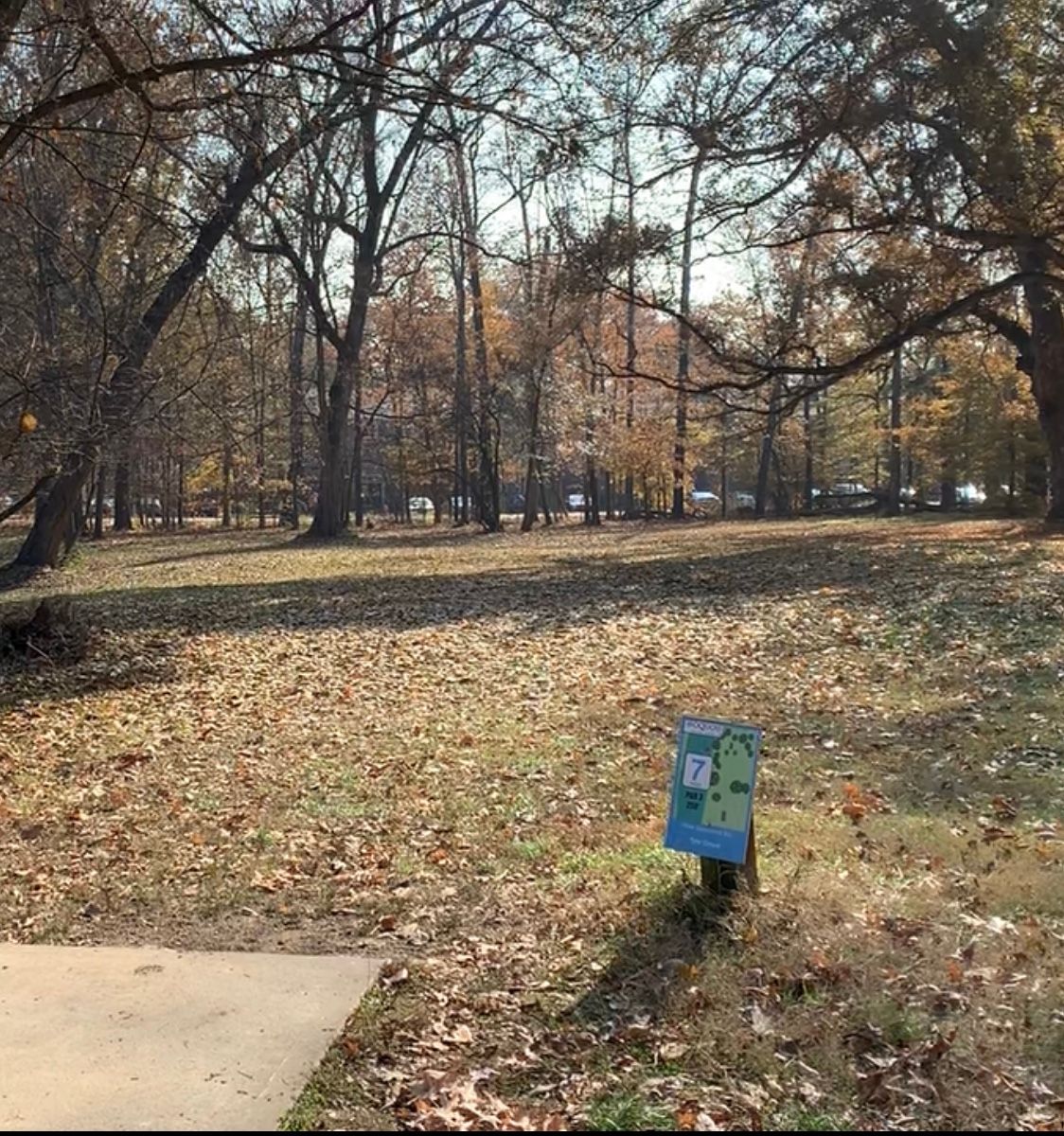 Hole 7. Basket tucked behind a couple guardian trees