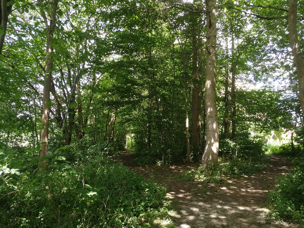 Lush surroundings
