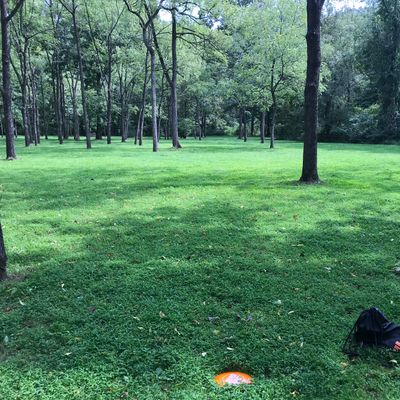 Hole 9 fairway