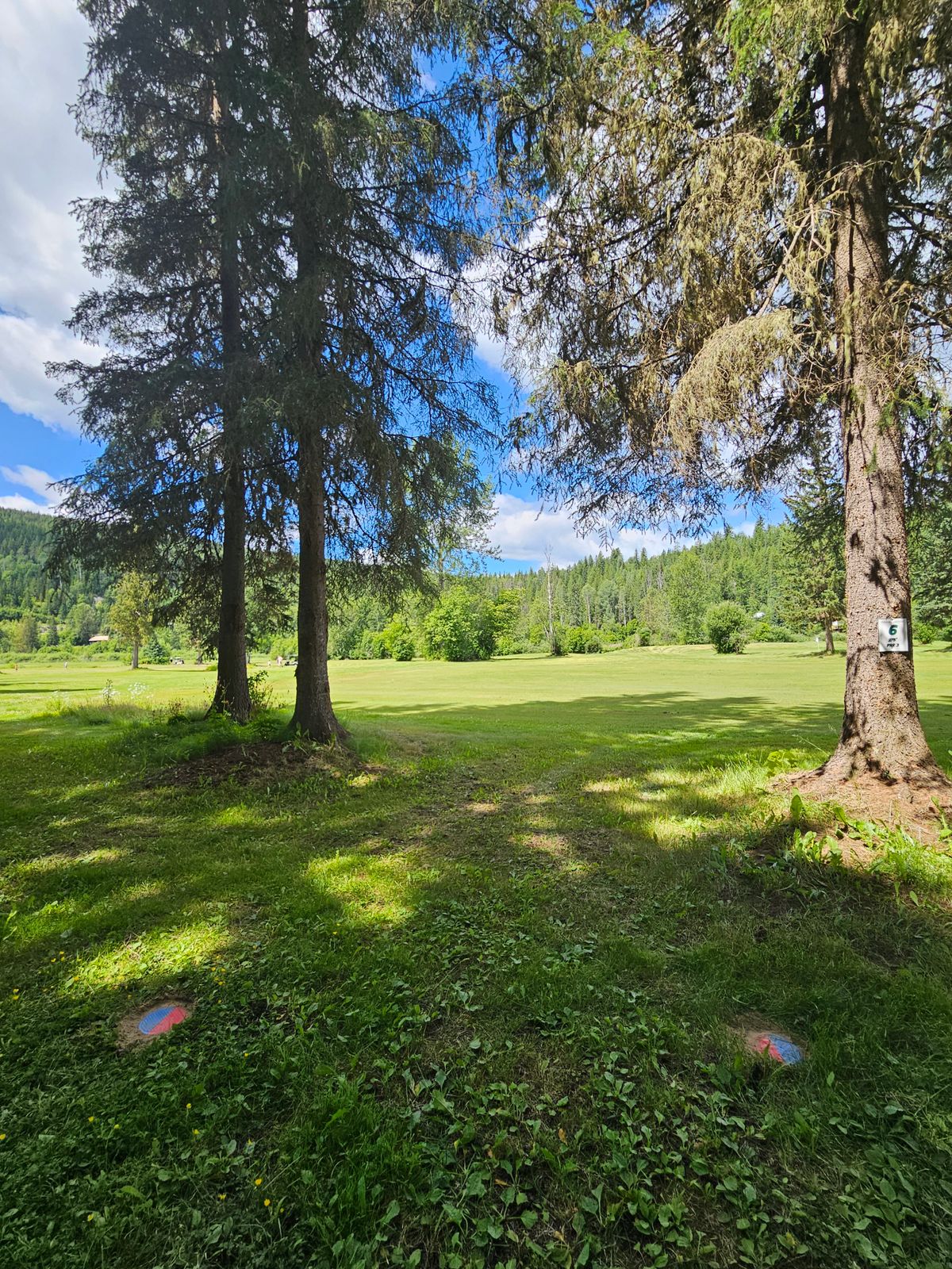 ball golf green ob