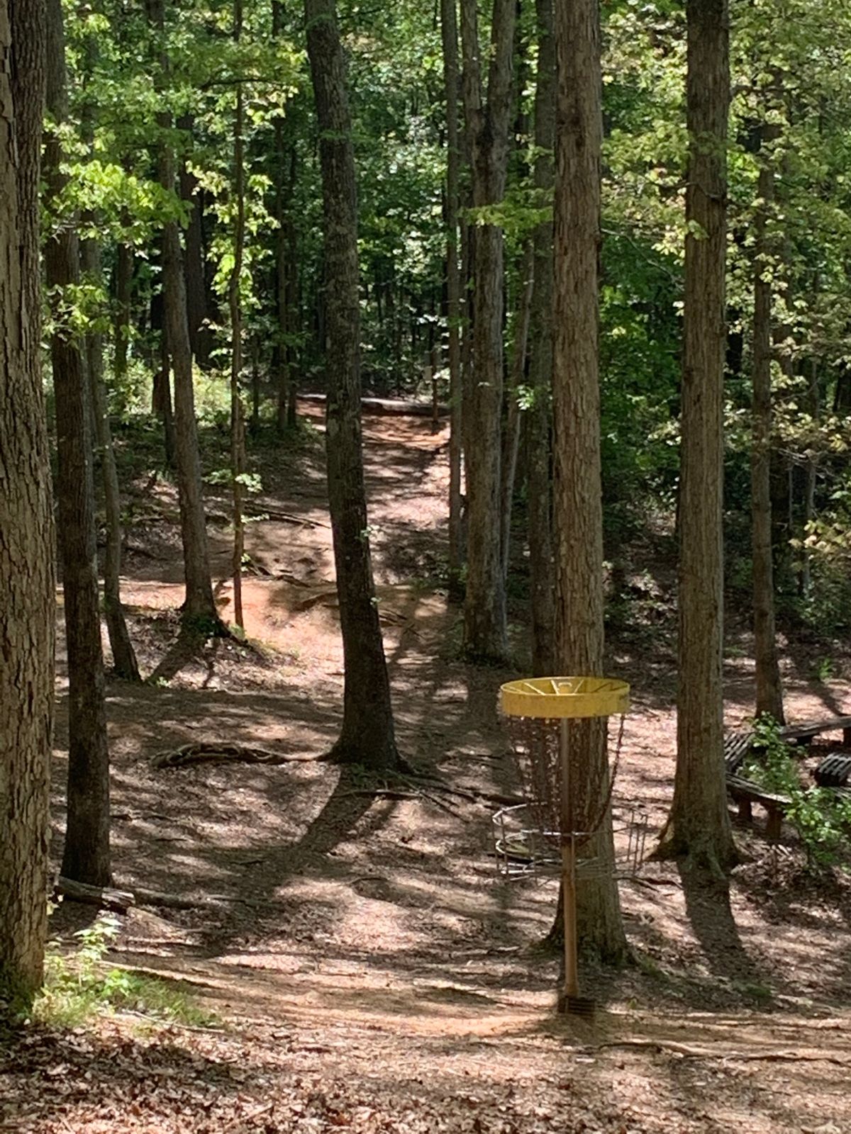 Hole #7, Tee pad is in background beside concrete path.