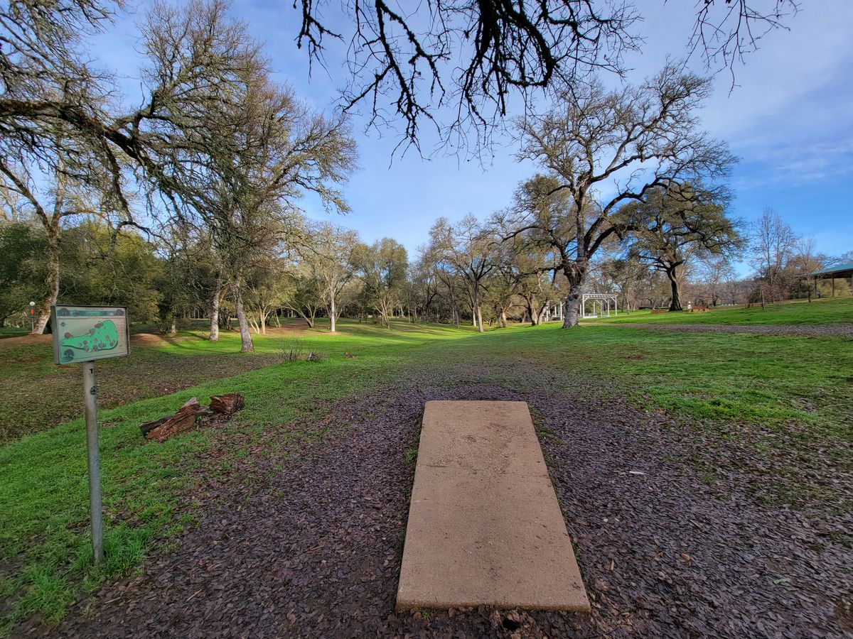 Hole 17 Teepad