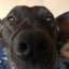 User avatar image