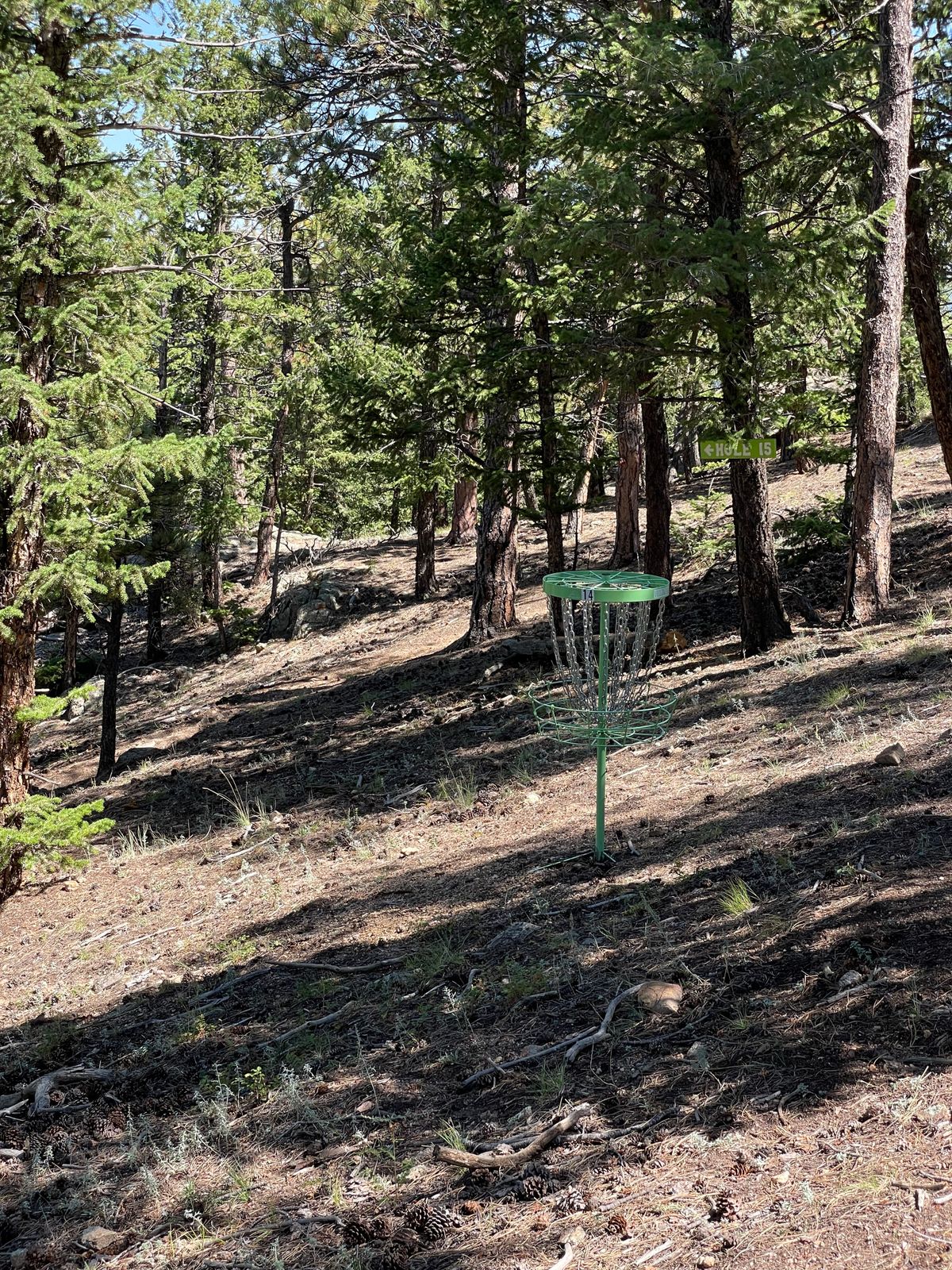 Hole 14 basket