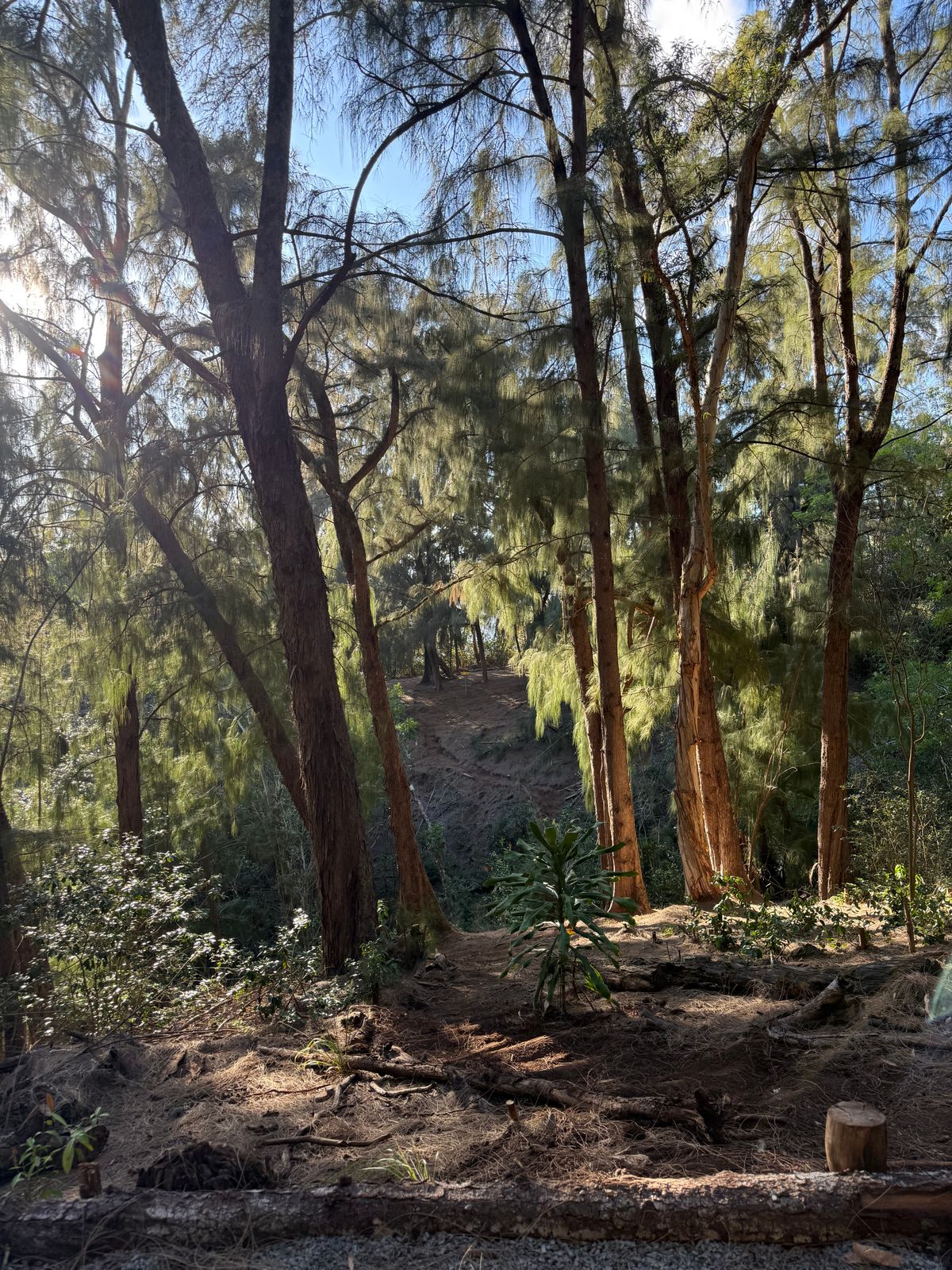 This course is amazing! Easily our favorite on island and one of our favorites in the US so far.