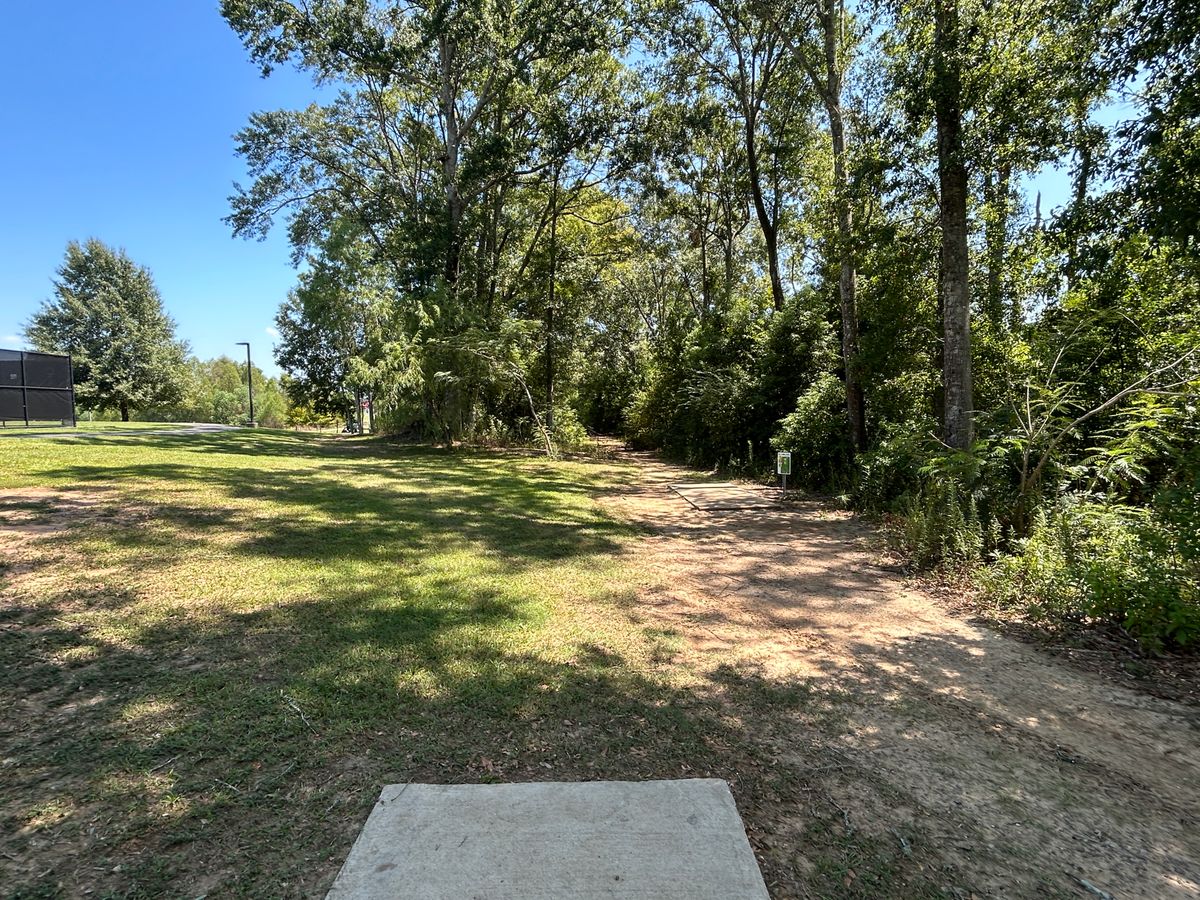 Hole 3 Fairway (White)