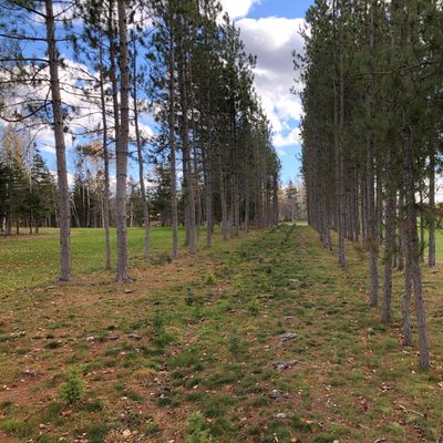 Tunnel made for disc golf
