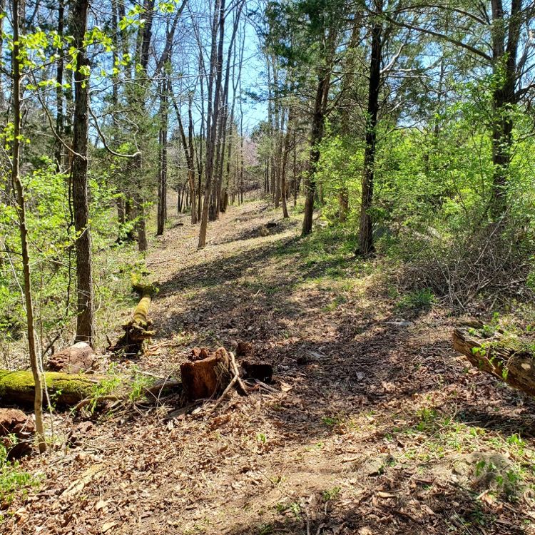 Hole 6 2022
